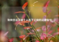 如何合法注销个人名下公司的法律指引