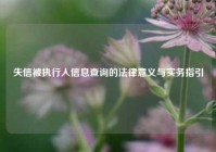 失信被执行人信息查询的法律意义与实务指引