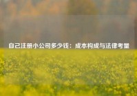 自己注册小公司多少钱：成本构成与法律考量