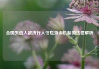 全国失信人被执行人信息查询机制的法律解析