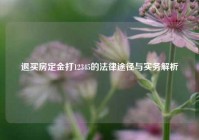 退买房定金打12345的法律途径与实务解析
