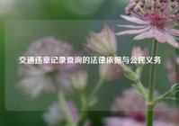 交通违章记录查询的法律依据与公民义务