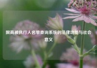 限高被执行人名单查询系统的法律功能与社会意义