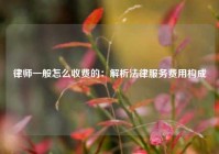 律师一般怎么收费的：解析法律服务费用构成