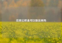 住房公积金可以取出来吗