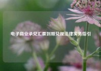 电子商业承兑汇票到期兑现法律实务指引