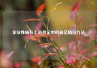 企业性质在工商登记中的规范填写方法