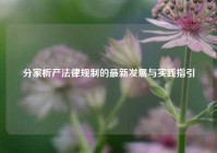 分家析产法律规制的最新发展与实践指引