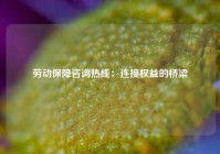 劳动保障咨询热线：连接权益的桥梁