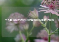 个人住房房产税的法律规制与实施路径探析