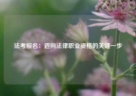 法考报名：迈向法律职业资格的关键一步