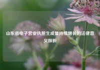 山东省电子营业执照生成量持续增长的法律意义探析