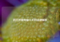 初次涉黄拘留几天的法律解析