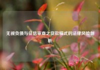 无视负债与征信审查之贷款模式的法律风险剖析
