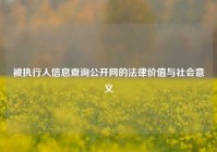 被执行人信息查询公开网的法律价值与社会意义