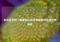 身份证号码一键查询公民全部信息的法律边界探析