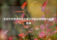 北京代办营业执照正规公司的法律识别与选择指南