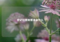 登记结婚需要准备什么
