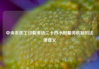 中央农民工讨薪电话二十四小时服务机制的法律意义