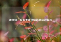 请律师一般多少钱律师收费标准解析