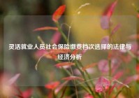 灵活就业人员社会保险缴费档次选择的法律与经济分析