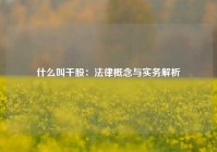 什么叫干股：法律概念与实务解析