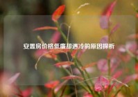 安置房价格低廉却遇冷的原因探析