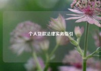 个人贷款法律实务指引