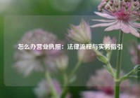 怎么办营业执照：法律流程与实务指引