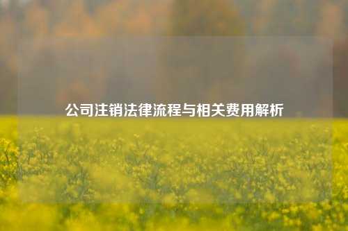 公司注销法律流程与相关费用解析