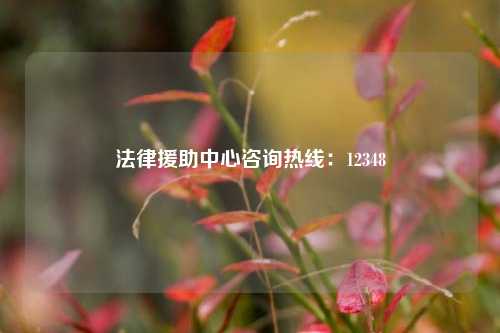 法律援助中心咨询热线:12348