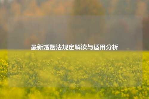 最新婚姻法规定解读与适用分析