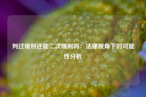 判过缓刑还能二次缓刑吗：法律视角下的可能性分析