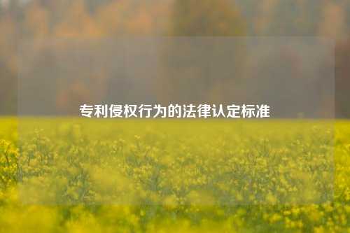 专利侵权行为的法律认定标准