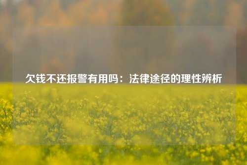 欠钱不还报警有用吗：法律途径的理性辨析