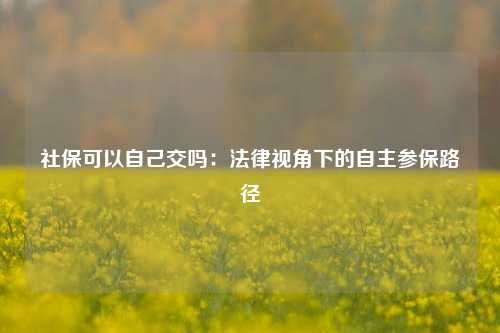 社保可以自己交吗：法律视角下的自主参保路径
