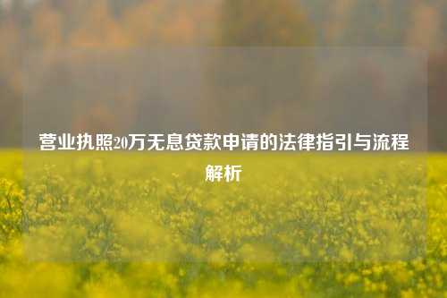 营业执照20万无息贷款申请的法律指引与流程解析