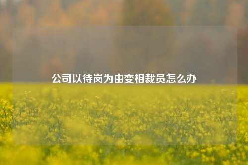 公司以待岗为由变相裁员怎么办