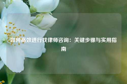 如何高效进行找律师咨询：关键步骤与实用指南