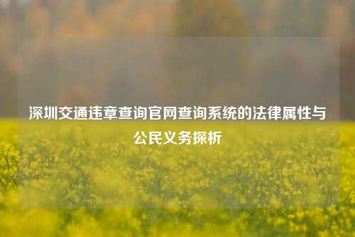 深圳交通违章查询官网查询系统的法律属性与公民义务探析