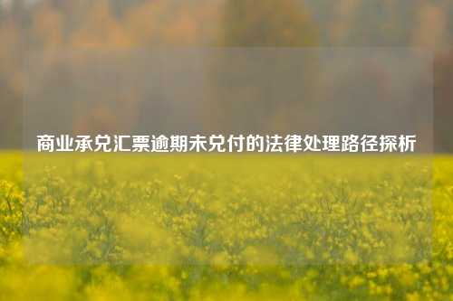 商业承兑汇票逾期未兑付的法律处理路径探析