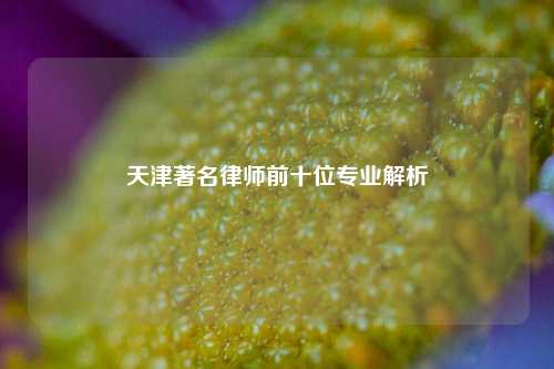 天津著名律师前十位专业解析