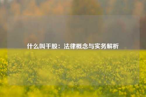 什么叫干股：法律概念与实务解析