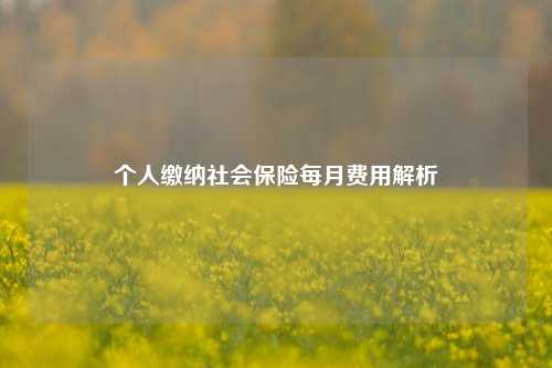 个人缴纳社会保险每月费用解析