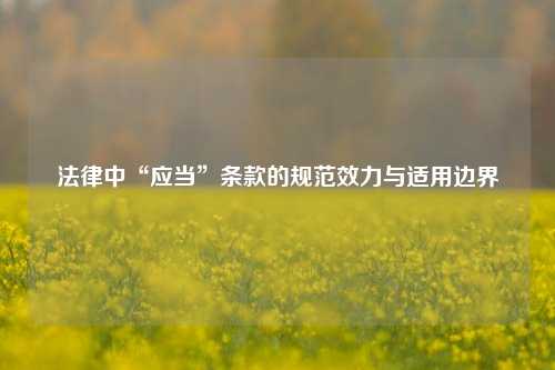 法律中“应当”条款的规范效力与适用边界
