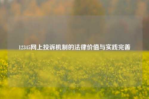 12345网上投诉机制的法律价值与实践完善