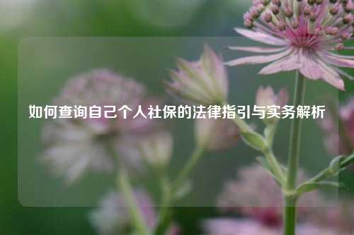 如何查询自己个人社保的法律指引与实务解析