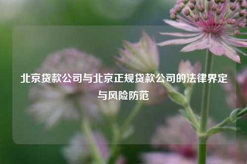 北京贷款公司与北京正规贷款公司的法律界定与风险防范